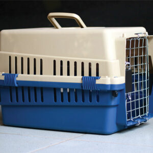 How to choose a large pet carrier