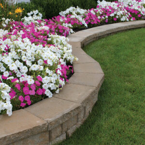 5 border edging ideas with stones and bricks