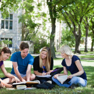 Popular online degrees that you can study from accredited colleges